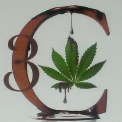 Logo thumbnail