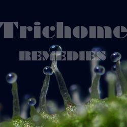 Logo thumbnail