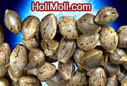 marijuana seeds pic