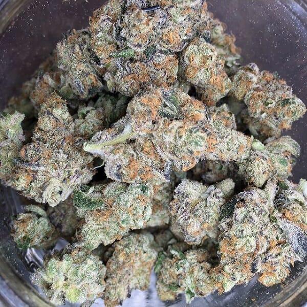 animal cookies cannabis pics