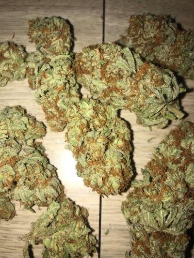 bruce banner autoflower cannabis pics