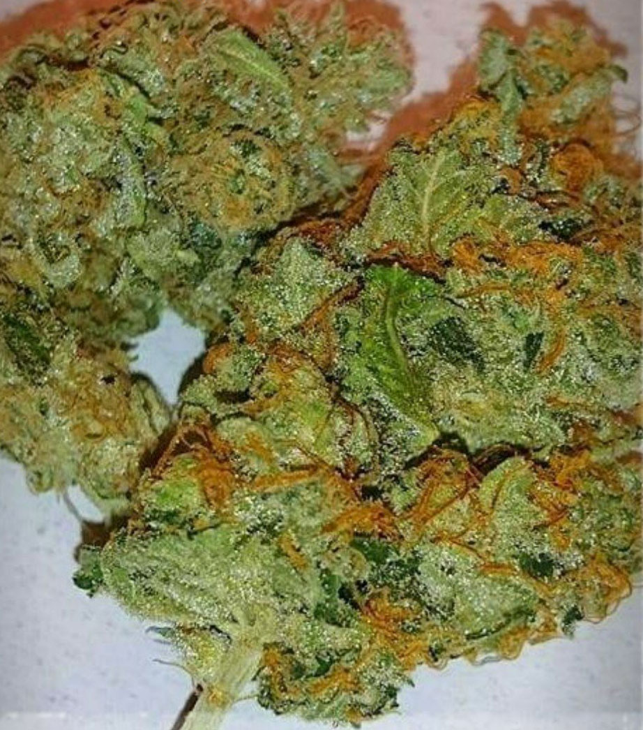 strawberry gorilla cannabis pics