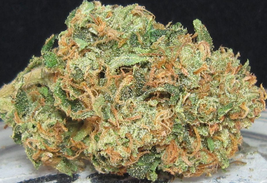 tahoe og cannabis pics