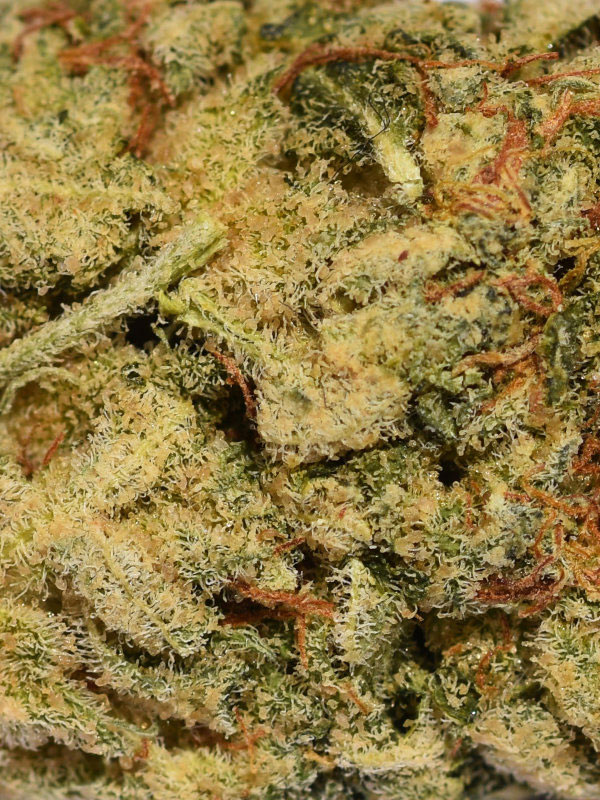 wedding cake autoflower cannabis pics