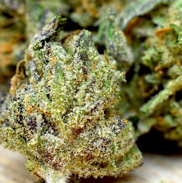 wedding cake autoflower cannabis pics